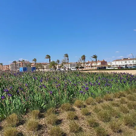 Estudio Violet * Ampuriabrava