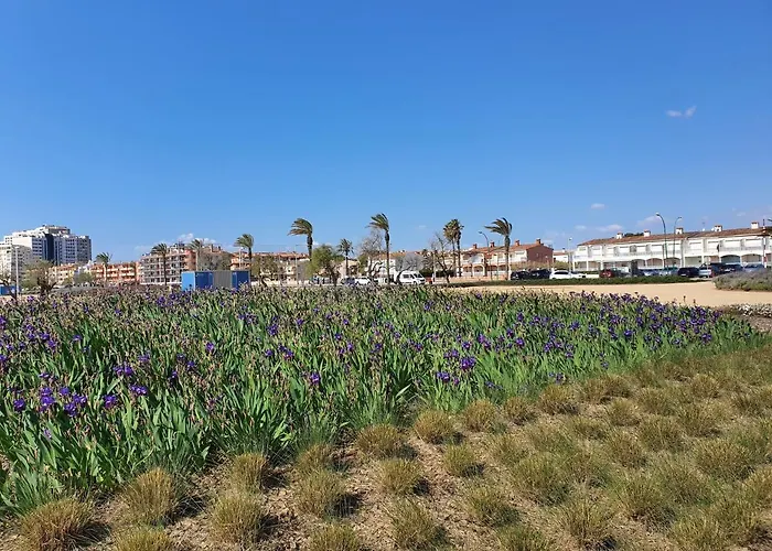 Estudio Violet * Empuriabrava